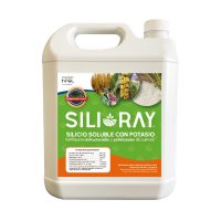 SILI RAY 4 Litros Fertilizante Estructurador